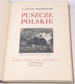 CUDA POLSKI [komplet 14 tomów w oryginalnych oprawach wydawniczych] [1930-1938] - 12