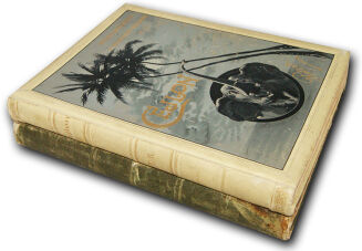 POTOCKI - NOTATKI MYŚLIWSKIE Z DALEKIEGO WSCHODU 1-2 ilustr. Stachiewicza 1896r. - 2