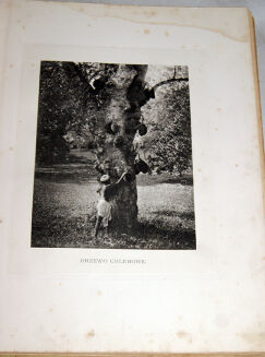 POTOCKI - NOTATKI MYŚLIWSKIE Z DALEKIEGO WSCHODU 1-2 ilustr. Stachiewicza 1896r. - 6