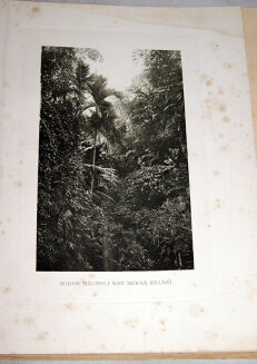 POTOCKI - NOTATKI MYŚLIWSKIE Z DALEKIEGO WSCHODU 1-2 ilustr. Stachiewicza 1896r. - 7