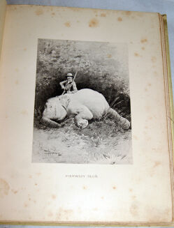 POTOCKI - NOTATKI MYŚLIWSKIE Z DALEKIEGO WSCHODU 1-2 ilustr. Stachiewicza 1896r. - 9