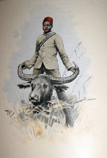 POTOCKI - NOTATKI MYŚLIWSKIE Z DALEKIEGO WSCHODU 1-2 ilustr. Stachiewicza 1896r. - 13