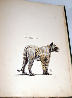 POTOCKI - NOTATKI MYŚLIWSKIE Z DALEKIEGO WSCHODU 1-2 ilustr. Stachiewicza 1896r. - 18