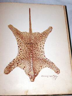 POTOCKI - NOTATKI MYŚLIWSKIE Z DALEKIEGO WSCHODU 1-2 ilustr. Stachiewicza 1896r. - 21