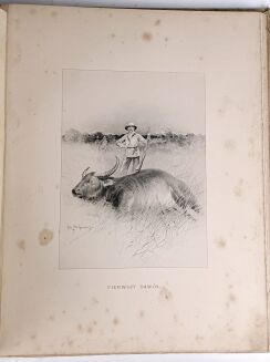 POTOCKI - NOTATKI MYŚLIWSKIE Z DALEKIEGO WSCHODU 1-2 ilustr. Stachiewicza 1896r. - 28