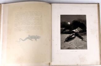 POTOCKI - NOTATKI MYŚLIWSKIE Z DALEKIEGO WSCHODU 1-2 ilustr. Stachiewicza 1896r. - 29