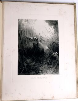 POTOCKI - NOTATKI MYŚLIWSKIE Z DALEKIEGO WSCHODU 1-2 ilustr. Stachiewicza 1896r. - 31