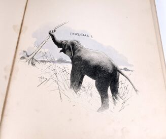 POTOCKI - NOTATKI MYŚLIWSKIE Z DALEKIEGO WSCHODU 1-2 ilustr. Stachiewicza 1896r. - 35