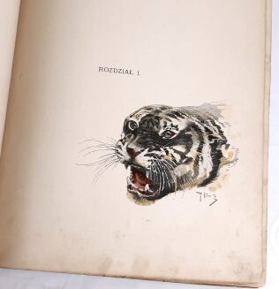 POTOCKI - NOTATKI MYŚLIWSKIE Z DALEKIEGO WSCHODU 1-2 ilustr. Stachiewicza 1896r. - 39