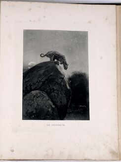 POTOCKI - NOTATKI MYŚLIWSKIE Z DALEKIEGO WSCHODU 1-2 ilustr. Stachiewicza 1896r. - 43