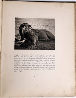 POTOCKI - NOTATKI MYŚLIWSKIE Z DALEKIEGO WSCHODU 1-2 ilustr. Stachiewicza 1896r. - 45