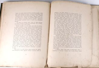 POTOCKI - NOTATKI MYŚLIWSKIE Z DALEKIEGO WSCHODU 1-2 ilustr. Stachiewicza 1896r. - 48