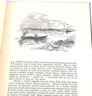 KRZYWOSZEWSKI - Z PRZEŻYĆ I WRAŻEŃ MYŚLIWSKICH wyd. 1927r. z 24 rysunkami Mackiewicza. Oprawa Robert Jahoda - 6