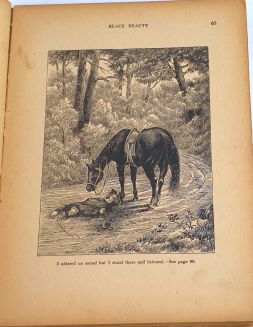 SEWELL- BLACK BEAUTY. - 3