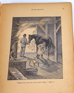 SEWELL- BLACK BEAUTY. - 5