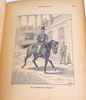 SEWELL- BLACK BEAUTY. - 7