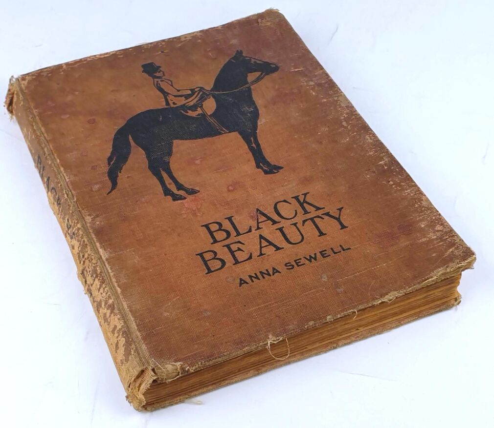 SEWELL- BLACK BEAUTY.