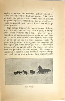 SIEROSZEWSKI - ZE ŚWIATA  Opowiadania z 53 ilustracjami, marka ochronna Autora - 9
