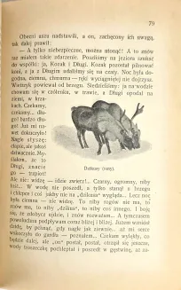 SIEROSZEWSKI - ZE ŚWIATA  Opowiadania z 53 ilustracjami, marka ochronna Autora - 11