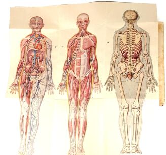BILZ - NOWE LECZNICTWO PRZYRODNICZE t.1-2 (komplet w 2 wol.) - 4