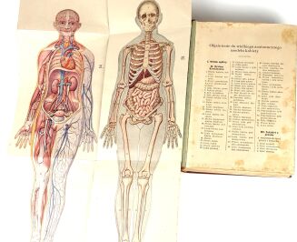 BILZ - NOWE LECZNICTWO PRZYRODNICZE t.1-2 (komplet w 2 wol.) - 5