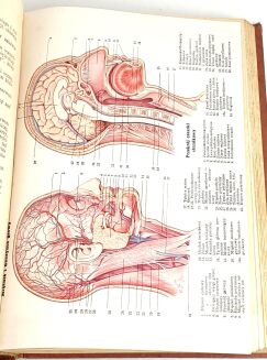 BILZ - NOWE LECZNICTWO PRZYRODNICZE t.1-2 (komplet w 2 wol.) - 10