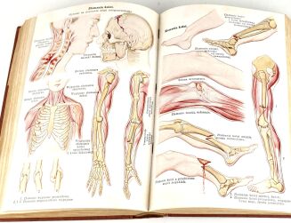 BILZ - NOWE LECZNICTWO PRZYRODNICZE t.1-2 (komplet w 2 wol.) - 12