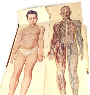 BILZ - NOWE LECZNICTWO PRZYRODNICZE t.1-2 (komplet w 2 wol.) - 17