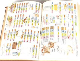 BILZ - NOWE LECZNICTWO PRZYRODNICZE t.1-2 (komplet w 2 wol.) - 20