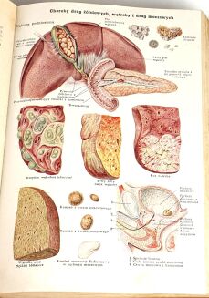 BILZ - NOWE LECZNICTWO PRZYRODNICZE t.1-2 (komplet w 2 wol.) - 21