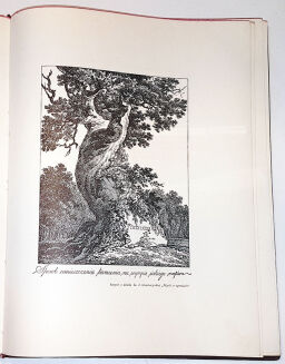 WASYLEWSKI- PORTRETY PAŃ WYTWORNYCH wyd. 1924r. - 4