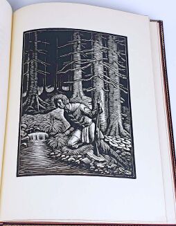 ŻEROMSKI  - PUSZCZA JODŁOWA drzeworyty Skoczylasa oprawa luksusowa - 5