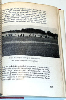 KRZECZUNOWICZ - OSTATNIA KAMPANIA KONNA Londyn - 3