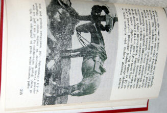 KRZECZUNOWICZ - OSTATNIA KAMPANIA KONNA Londyn - 5