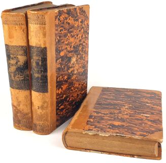 JANUSZ- DOKŁADNY SŁOWNIK FRANCUZKO- POLSKI I POLSKO- FRANCUZKI 3 wol. Lwów 1866 - 2