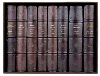 Andrzej Sapkowski - The Witcher Complete Series, Leather Binding - 2