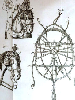 [OGÓLNA I POWSZECHNA WIEDZA O KONIACH] GARSAULT - LE NOUVEAU PARFAIT MARECHAL OU LA CONNAISSANCE GENERALE GENERALE ET UNIVERSELLE DU CHEVAL wyd. 1770 - 19
