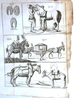 [OGÓLNA I POWSZECHNA WIEDZA O KONIACH] GARSAULT - LE NOUVEAU PARFAIT MARECHAL OU LA CONNAISSANCE GENERALE GENERALE ET UNIVERSELLE DU CHEVAL wyd. 1770 - 21