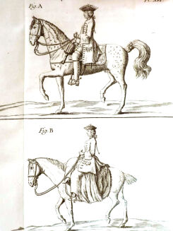 [OGÓLNA I POWSZECHNA WIEDZA O KONIACH] GARSAULT - LE NOUVEAU PARFAIT MARECHAL OU LA CONNAISSANCE GENERALE GENERALE ET UNIVERSELLE DU CHEVAL wyd. 1770 - 22