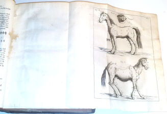 [OGÓLNA I POWSZECHNA WIEDZA O KONIACH] GARSAULT - LE NOUVEAU PARFAIT MARECHAL OU LA CONNAISSANCE GENERALE GENERALE ET UNIVERSELLE DU CHEVAL wyd. 1770 - 5