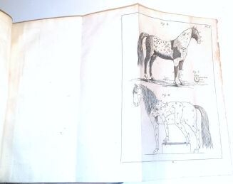 [OGÓLNA I POWSZECHNA WIEDZA O KONIACH] GARSAULT - LE NOUVEAU PARFAIT MARECHAL OU LA CONNAISSANCE GENERALE GENERALE ET UNIVERSELLE DU CHEVAL wyd. 1770 - 6