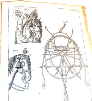 [OGÓLNA I POWSZECHNA WIEDZA O KONIACH] GARSAULT - LE NOUVEAU PARFAIT MARECHAL OU LA CONNAISSANCE GENERALE GENERALE ET UNIVERSELLE DU CHEVAL wyd. 1770 - 9