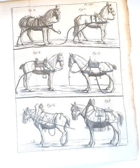 [OGÓLNA I POWSZECHNA WIEDZA O KONIACH] GARSAULT - LE NOUVEAU PARFAIT MARECHAL OU LA CONNAISSANCE GENERALE GENERALE ET UNIVERSELLE DU CHEVAL wyd. 1770 - 10