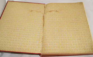 MICKIEWICZ- PAN TADEUSZ z illustracjami E. M. Andriollego OPRAWA folio STAN BDB - 5