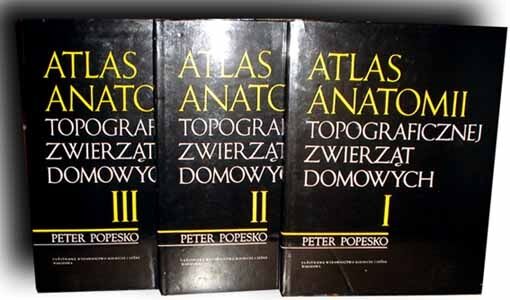 POPESKO- ATLAS ANATOMII TOPOGRAFICZNEJ ZWIERZĄT DOMOWYCH t.I-III [KOMPLET]