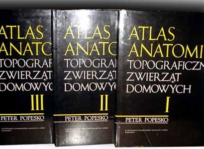 POPESKO- ATLAS ANATOMII TOPOGRAFICZNEJ ZWIERZĄT DOMOWYCH t.I-III [KOMPLET]