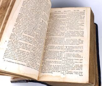 WUJEK - BIBLIA, to iest księgi Starego y Nowego Testamentu. Wrocław 1740. II pełne wydanie - 11