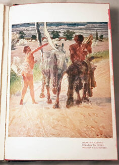 FELDMAN- WSPÓŁCZESNA LITERATURA POLSKA 1-4 (komplet w 2 wol.) wyd. 1905 - 4