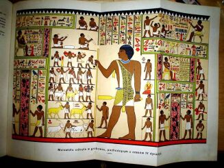 SOKOŁOWSKI- DZIEJE POWSZECHNE ILLUSTROWANE t.1-16 [komplet w 16wol.] stan! - 10