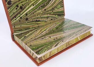 RASPAIL- DOMOWY LEKARZ I DOMOWA APTEKA wyd. 1851 - 5